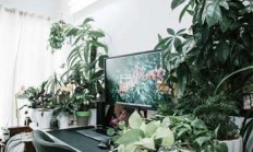 中山肿瘤医院哪家好？一份简要推荐